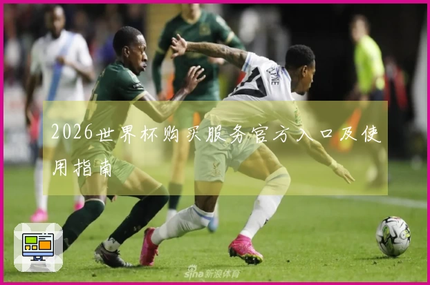 2026世界杯购买服务官方入口及使用指南