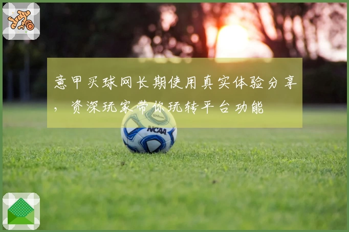 意甲买球网长期使用真实体验分享，资深玩家带你玩转平台功能