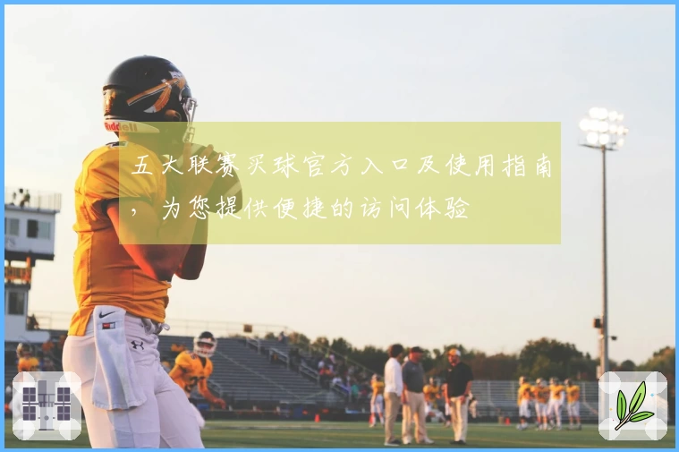 五大联赛买球官方入口及使用指南，为您提供便捷的访问体验