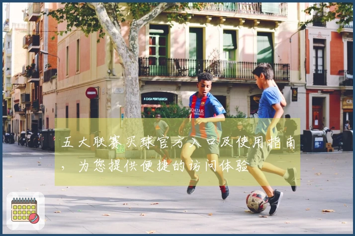 五大联赛买球官方入口及使用指南，为您提供便捷的访问体验